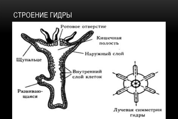 Сайт мега кракен