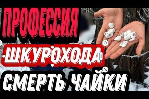 Найти зеркало кракена