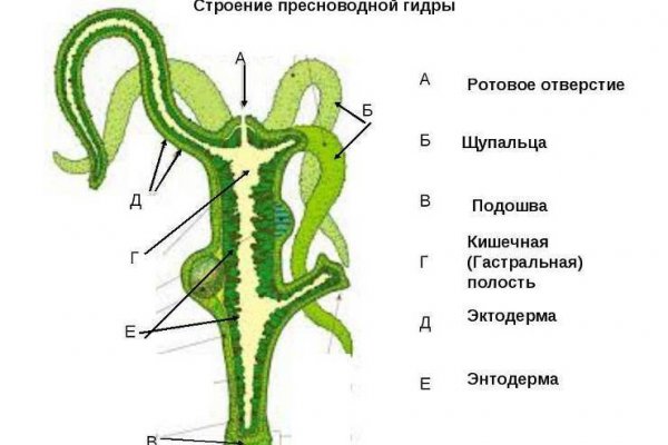 Ссылка для входа на сайт kraken