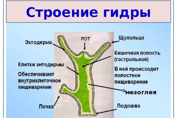 Восстановить аккаунт кракен