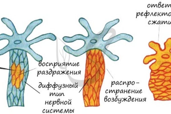 Кракен купить мефедрон