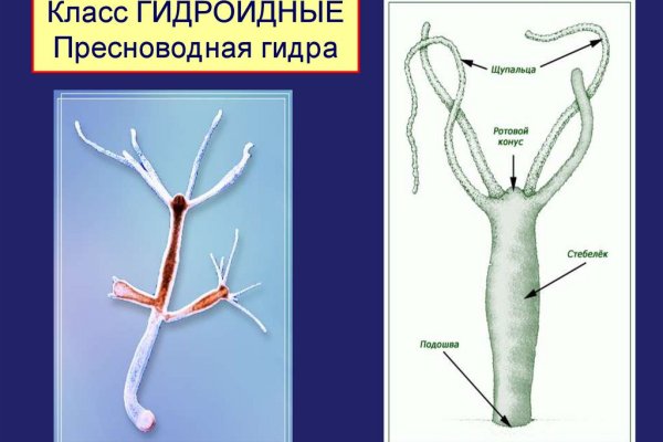 Браузер для кракен